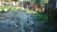 /album/zoo/dsc-0412-jpg/